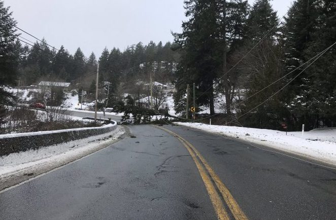 Areas on Highway 14 through Sooke open after storm blocks roads