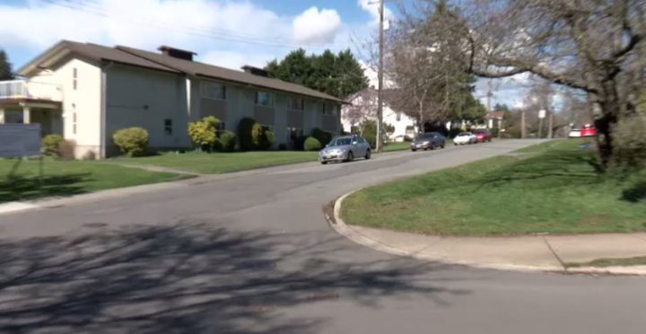 Large yellow snake reportedly on the loose in Saanich