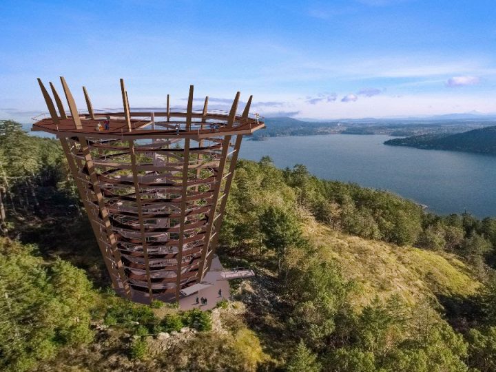 An artist's rendering of the Malahat Skywalk lookout tower. (A.Spire by Nature)