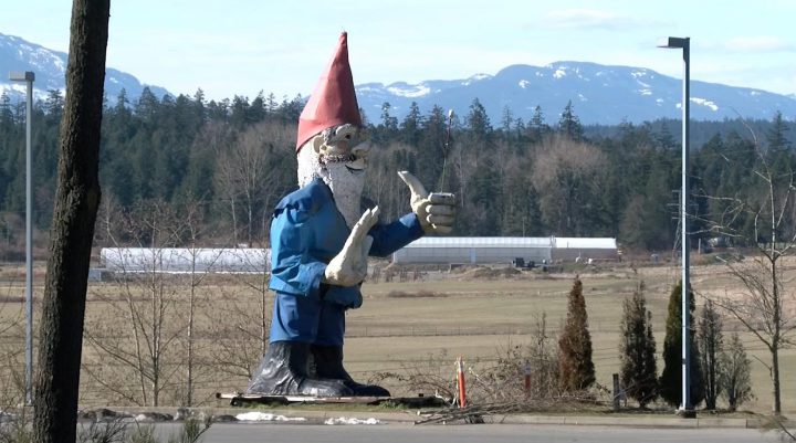 GoFundMe set up to repair Howard the gnome before he finds a new home