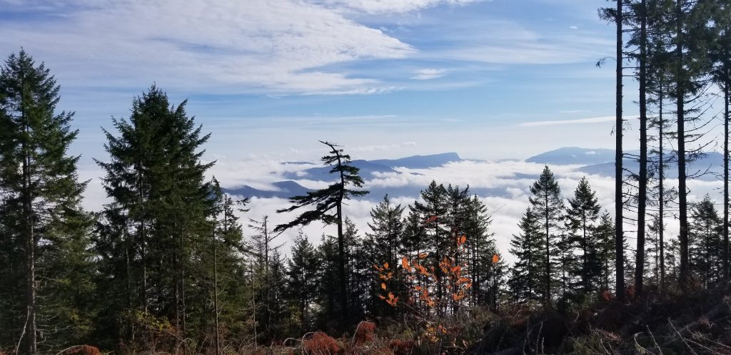 North Cowichan to close some forest gates as wildfire risk grows