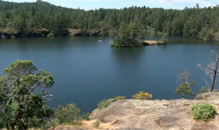 Teen suffers serious injuries after falling from cliff at Thetis Lake