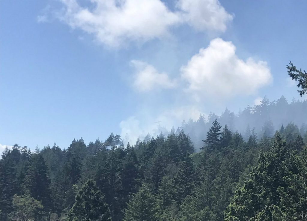 Small wildfire in Sooke contained, crews putting hot spots