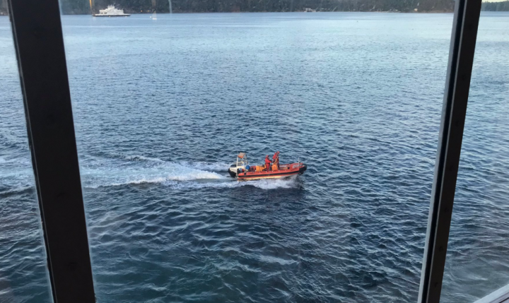 Man rescued by BC Ferries crews after canoe capsizes