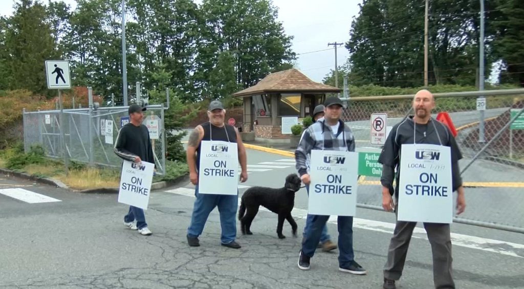 Thousands of Island forestry workers strike against Western Forest Products