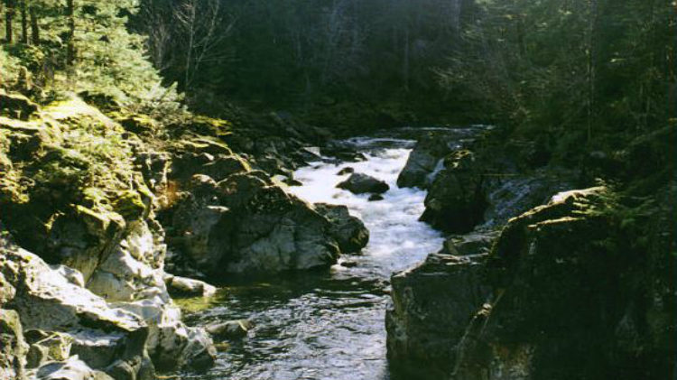 B.C. lifts water restrictions on Vancouver Island rivers