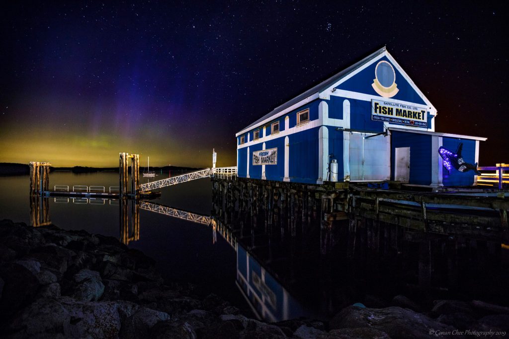 The northern lights at 3:30 a.m. in Sidney on Aug. 5, 2019. (Conan Chee Photography)