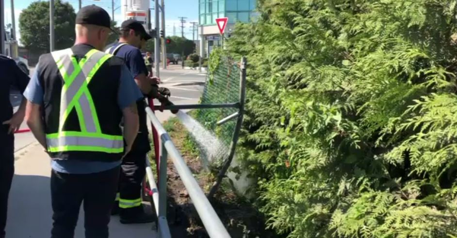 Crews extinguish small grass fire near Bridge and Bay streets in downtown Victoria