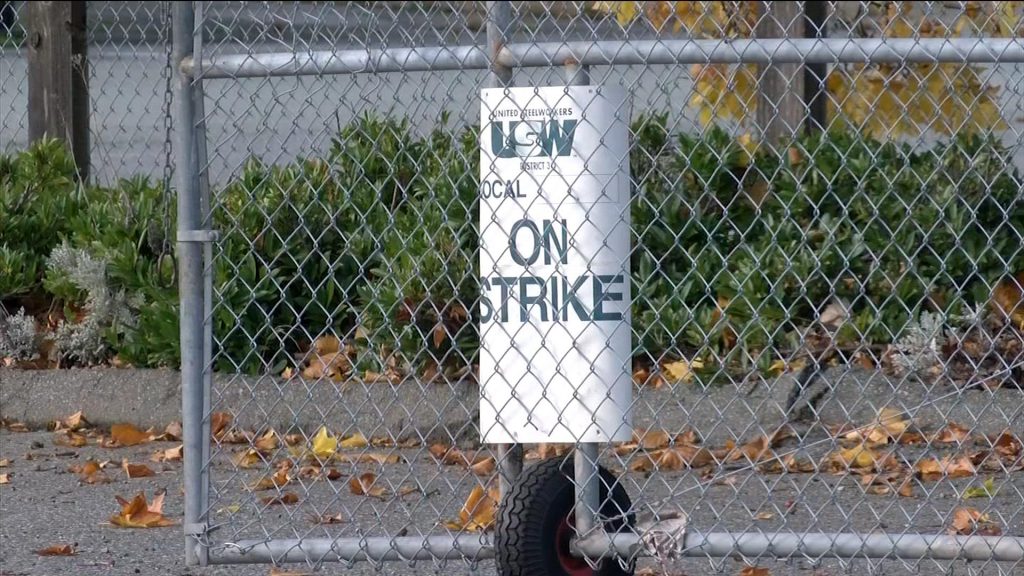 Horgan promises financial aid for truck loggers impacted by forestry strike