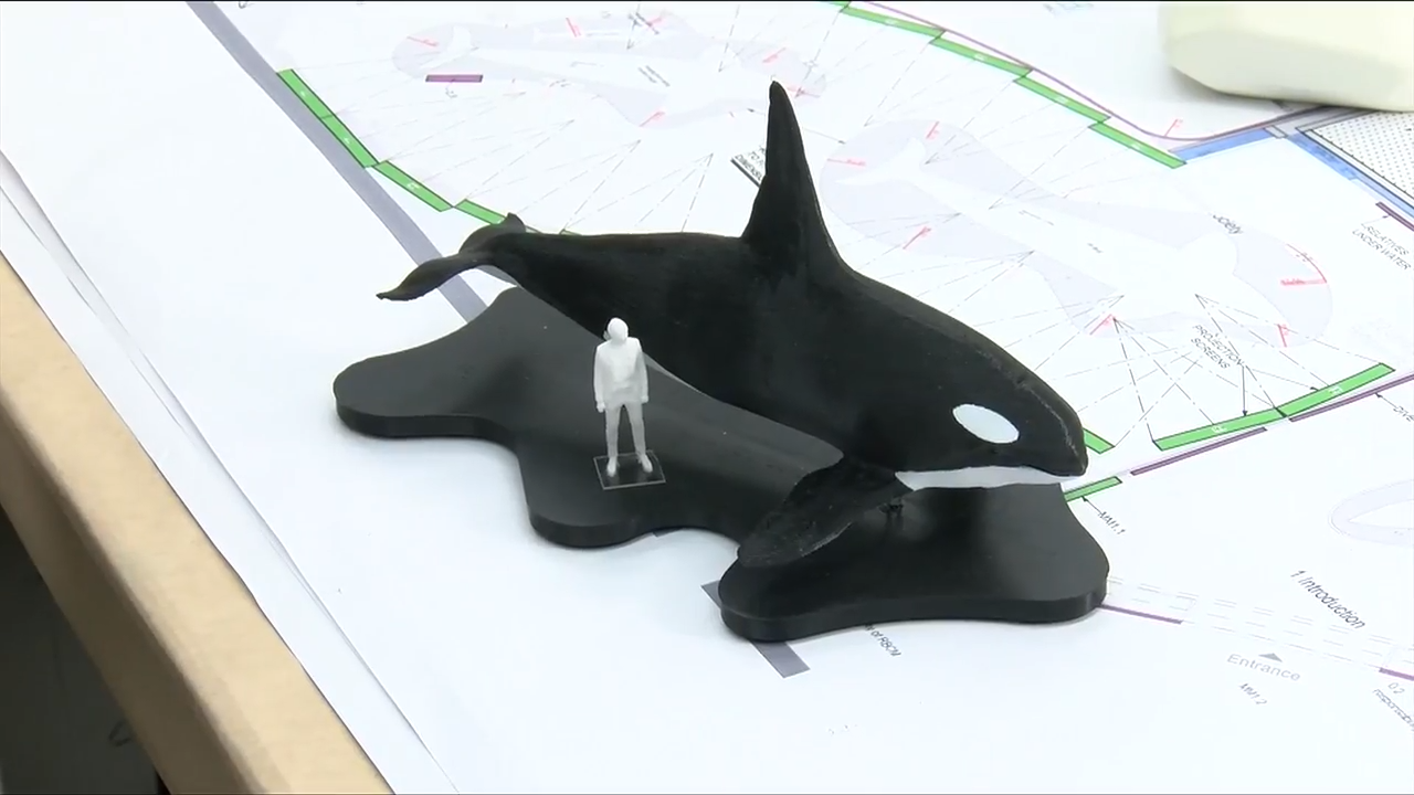 This Week in History: a sneek peek at the creation of Orcas: Our Shared ...
