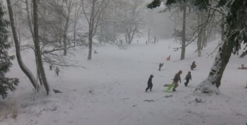 Heavy, wet snow expected on inland and east Vancouver Island by Tuesday afternoon