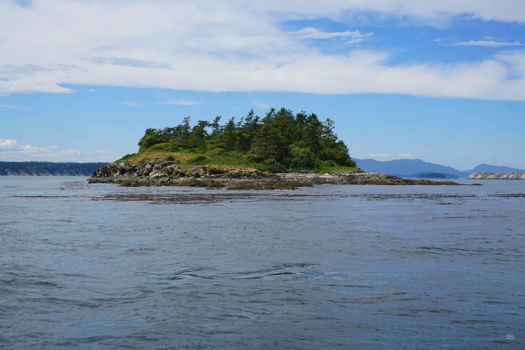 Private island east of Sidney, B.C. on the market for just under $2 million