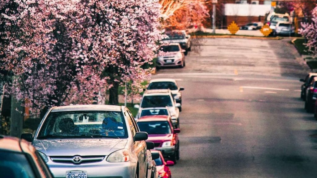 City of Victoria creating pedestrian space along James Bay streets to ensure social distancing