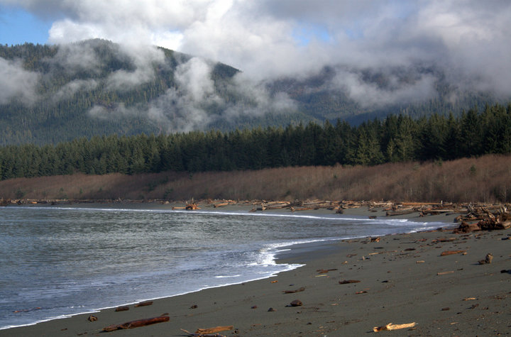 Port Renfrew asks for no visitors during the May long weekend