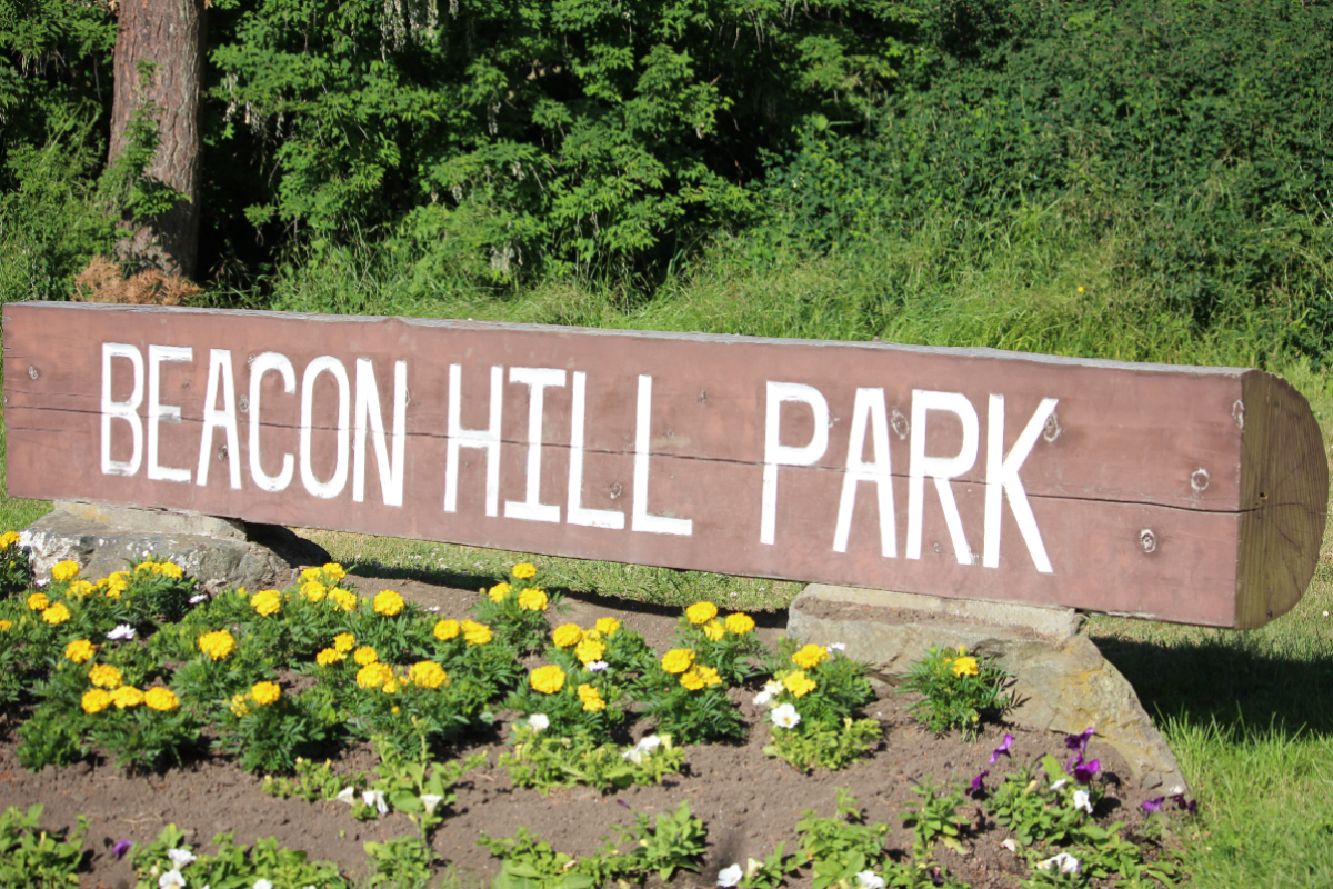 Free concerts return to Beacon Hill Park until September