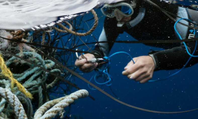 Vancouver Island fisheries to receive gov't funding to clear oceans of “ghost” fishing gear