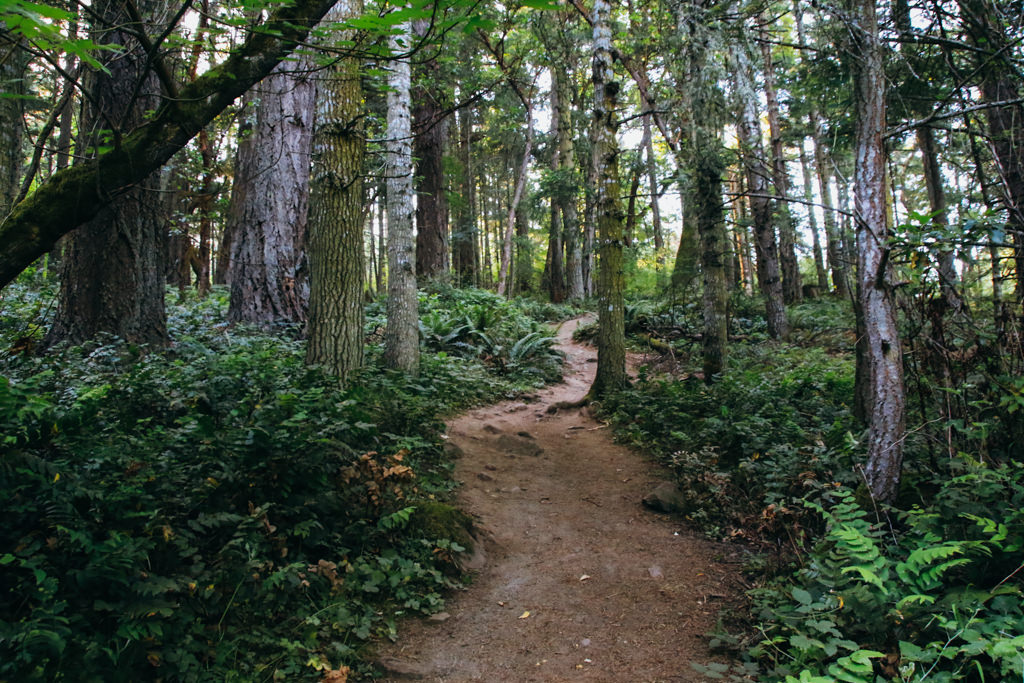 Saanich Council rejects motion that would've required dogs to be on-leash in Mount Doug Park