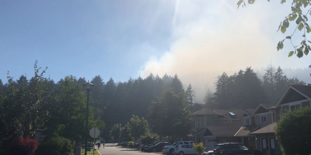 Wildfire under control in Mill Hill Regional Park in Langford