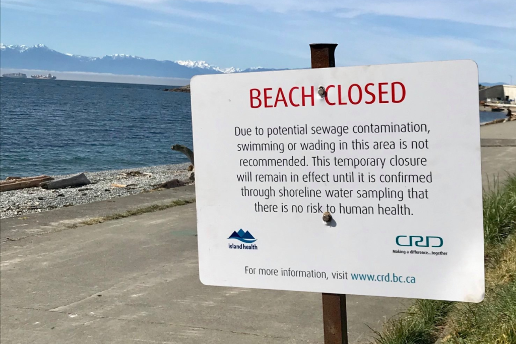 CRD urging residents to avoid swimming at some Victoria beaches