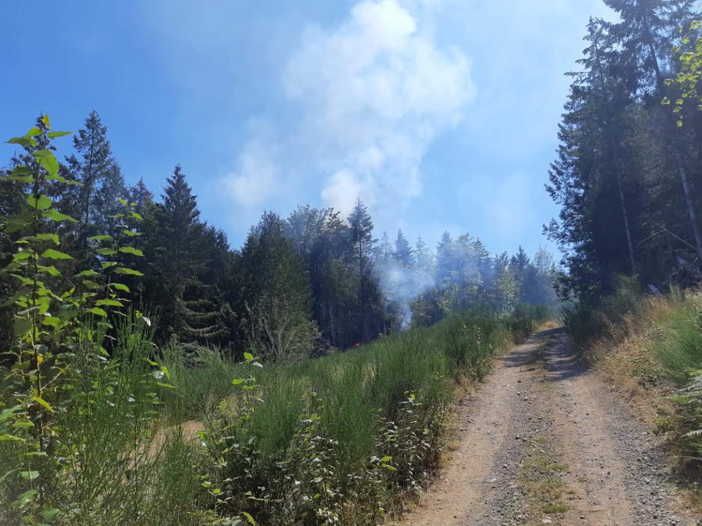 Multiple fire departments responding to brush fire near Ladysmith