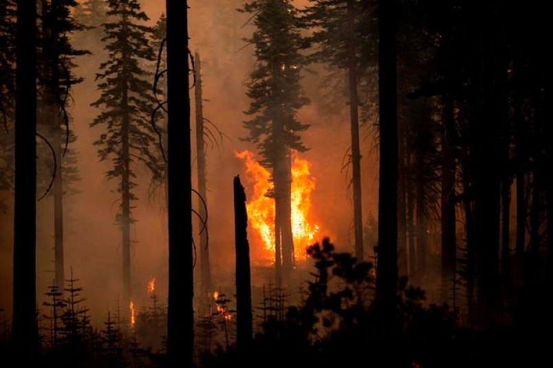 'Extremely extreme:' High temps push western wildfire risk into uncharted territory