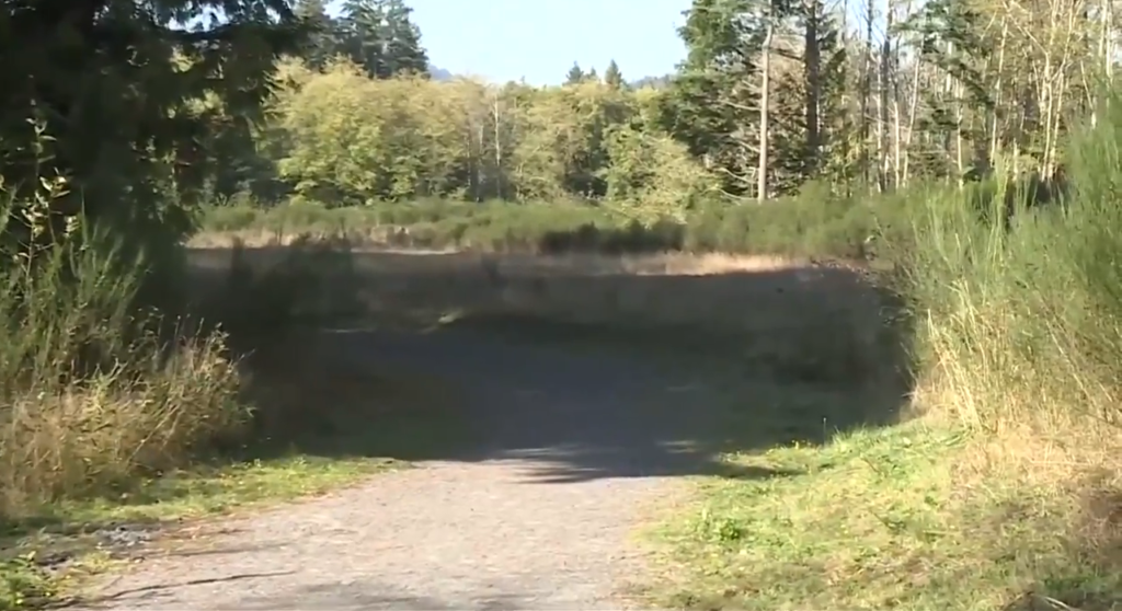 Petition calls to block archery range at Willing Park in Langford