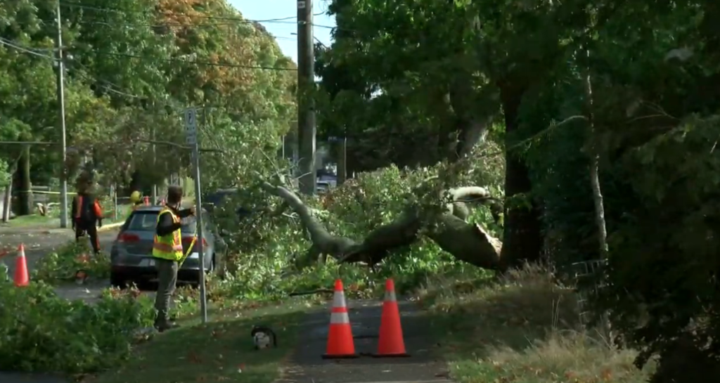 Thousands of residents still without power following Tuesday's wind storm