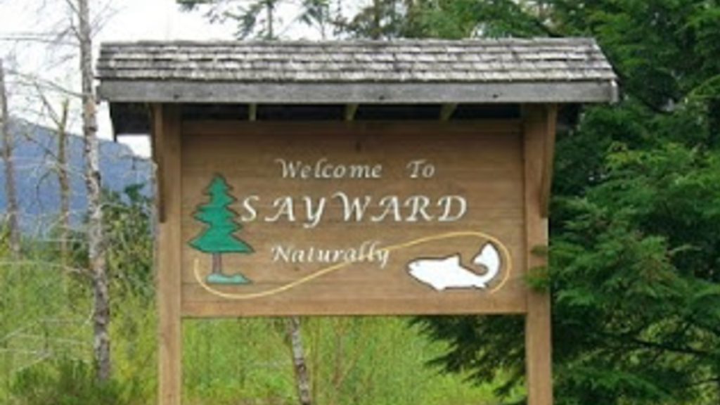 Village of Sayward elects new mayor, councillors following byelection