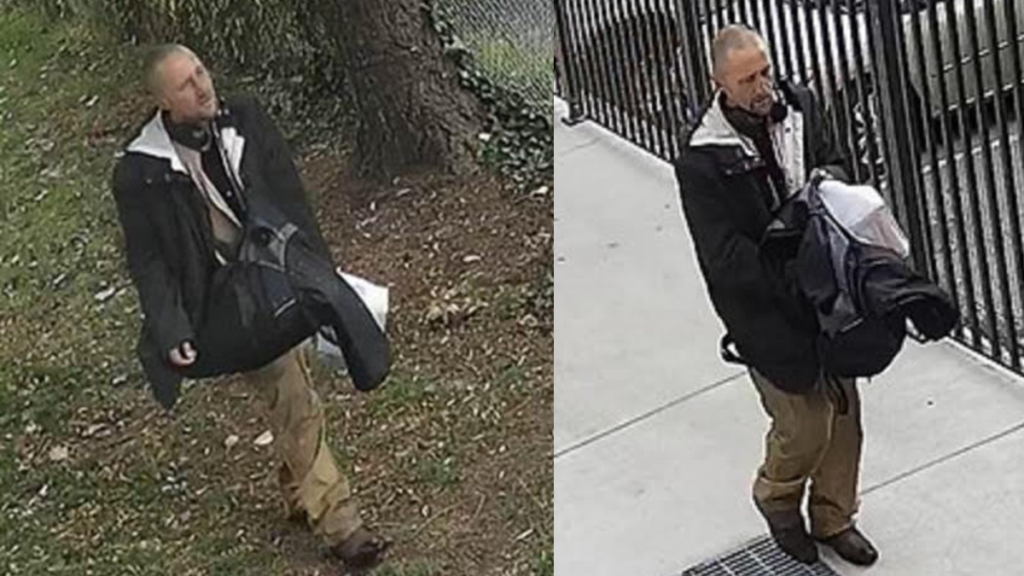 Victoria police searching for man who allegedly swung a baseball bat at multiple people