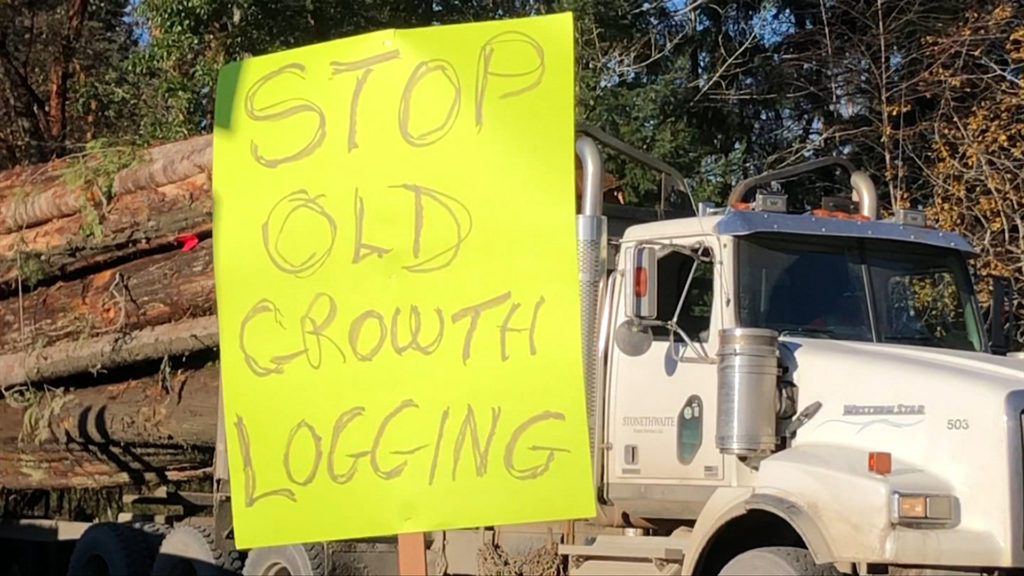 Three arrested after old-growth protestors block Trans-Canada Highway in Nanaimo