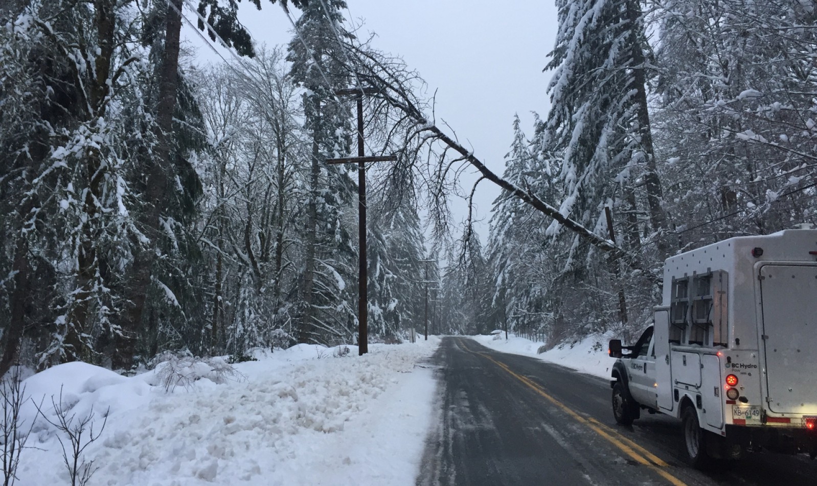UPDATE Snowstorm leaves close to 50,000 on Vancouver Island without