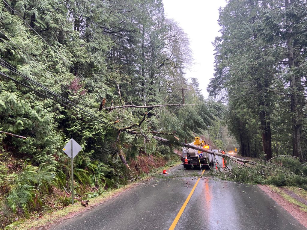 Over 20,000 without power after windstorm batters Vancouver Island