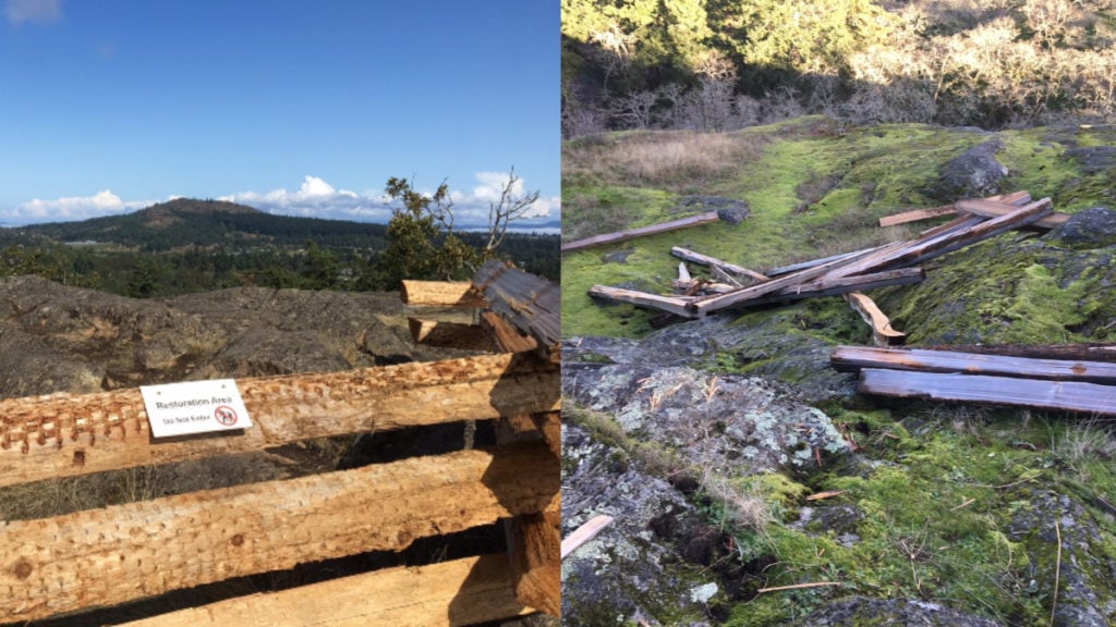 The fence before, and after, it was dismantled over the weekend at the Swan Lake Nature Sanctuary