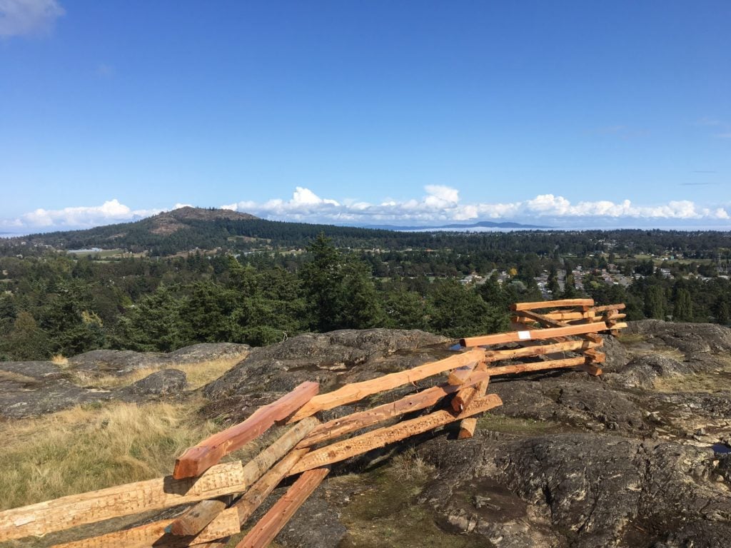 'A significant loss for them': Fencing built to protect Swan Lake Nature Sanctuary destroyed, police investigating