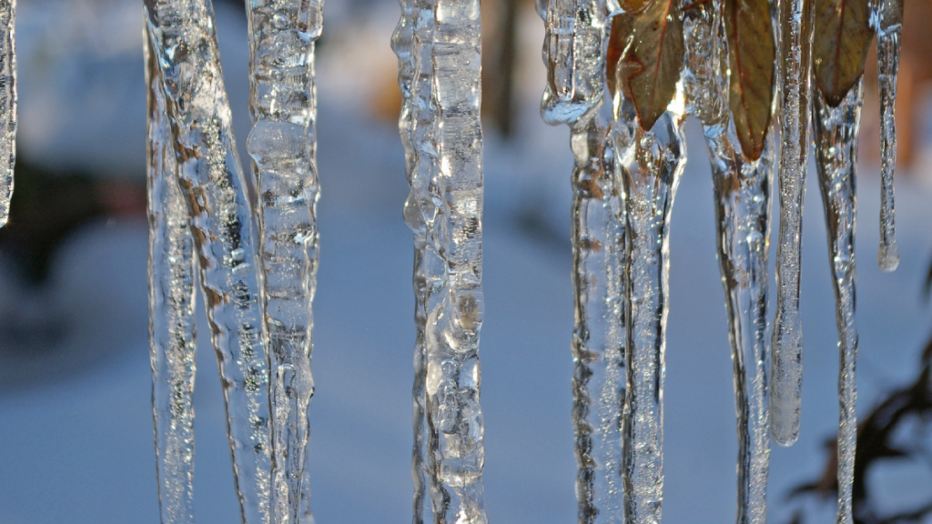 Arctic air mass to bring cooler temperatures to Vancouver Island next week