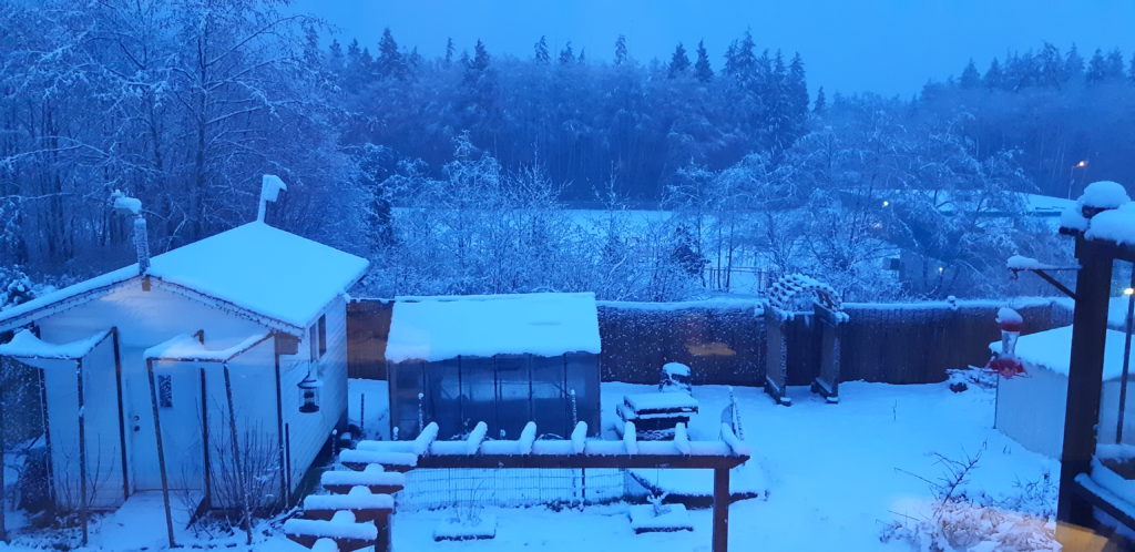 Weather alert issued for the North Island, more snow expected