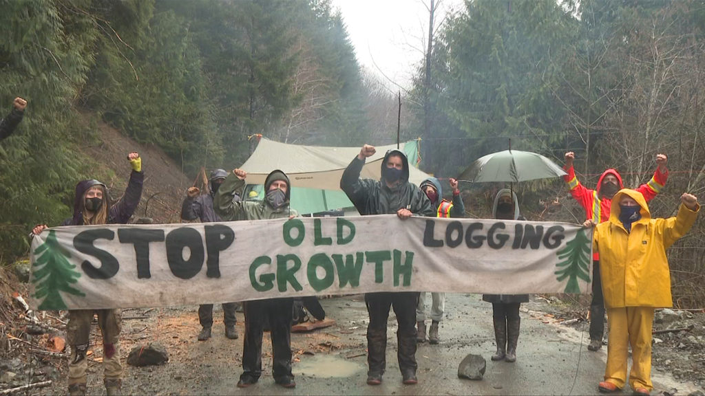 Ongoing protest over old-growth logging on Vancouver Island marks one year