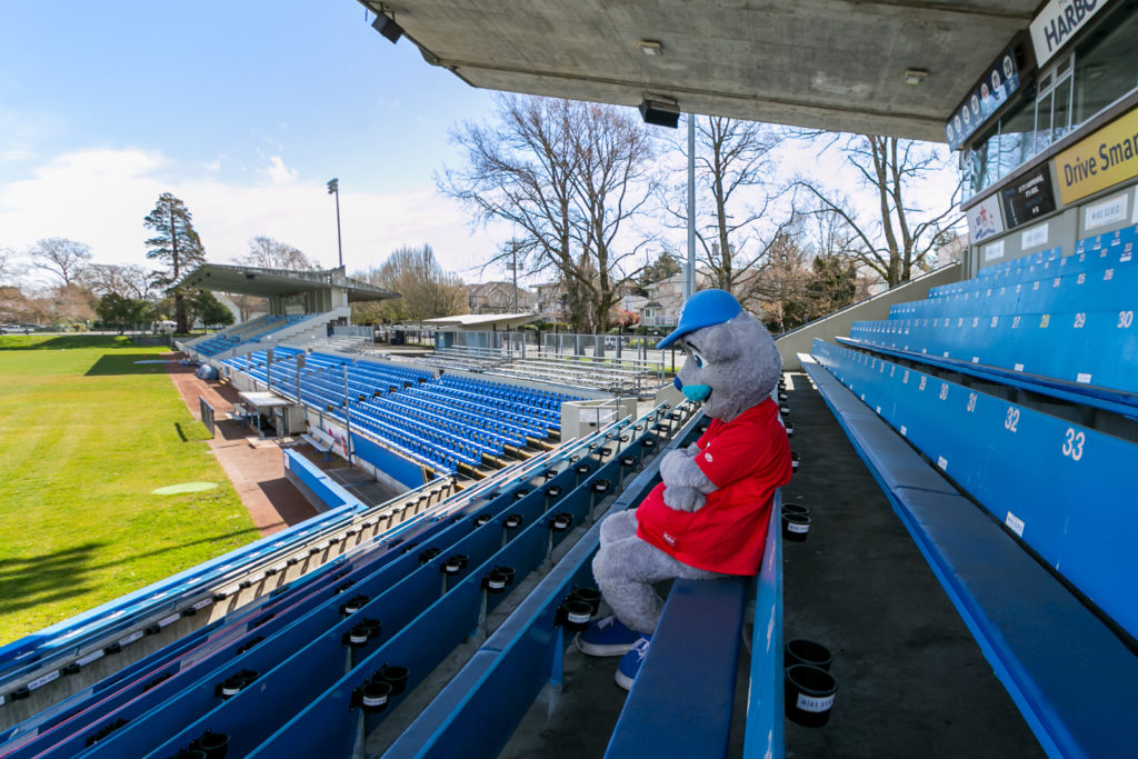 Victoria HarbourCats and Nanaimo NightOwls requiring staff, players and host families to be fully vaccinated