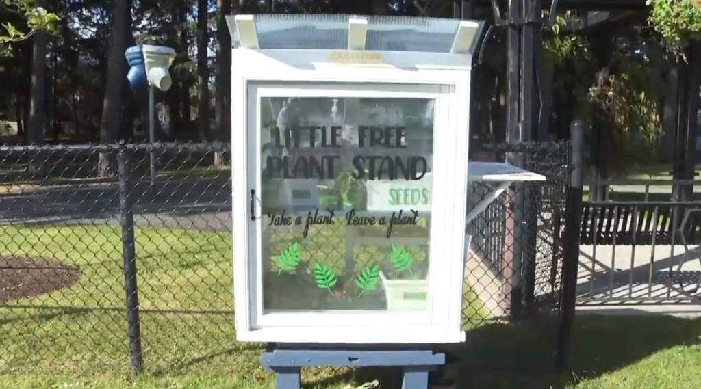 CHEK Upside: Little Free Plant Stand a growing hit in Colwood