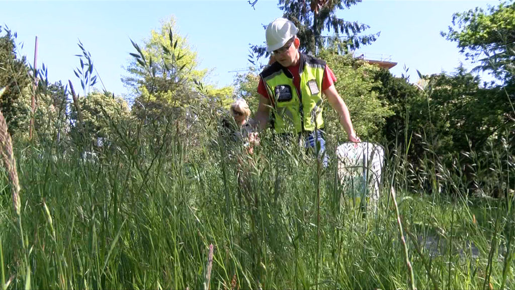 Community members organize weekly clean-ups at Beacon Hill Park