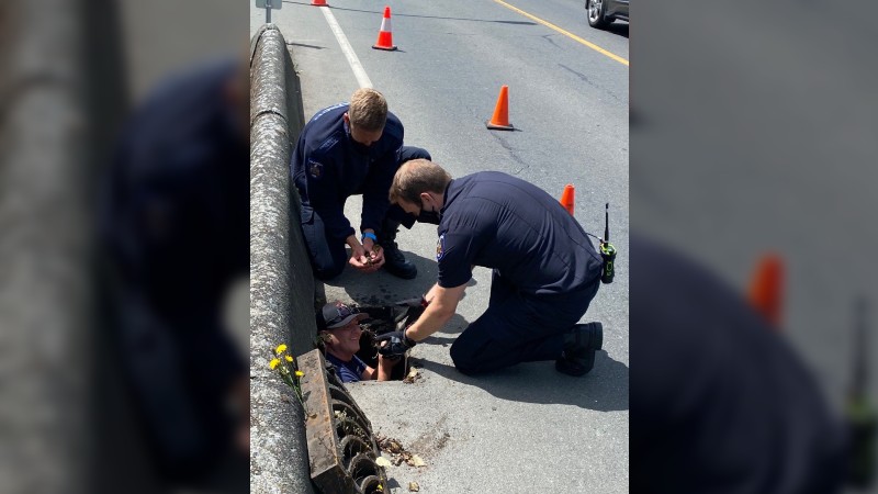 A quacky situation: Saanich Fire Department rescues ducklings from storm drain