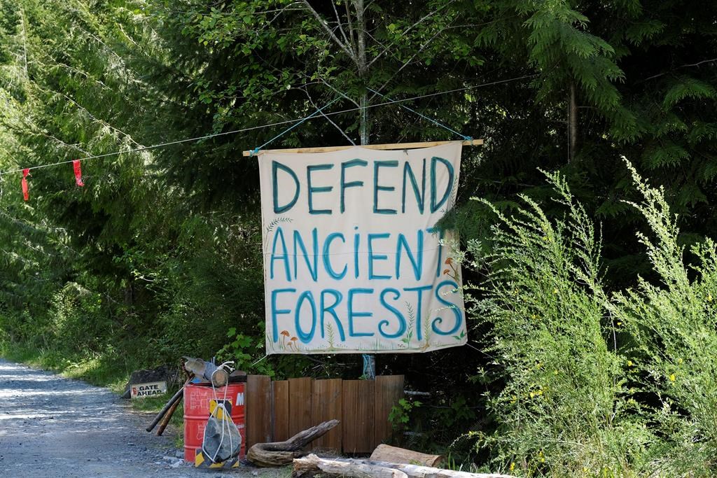 RCMP make 18 arrests at old-growth logging blockades on Vancouver Island