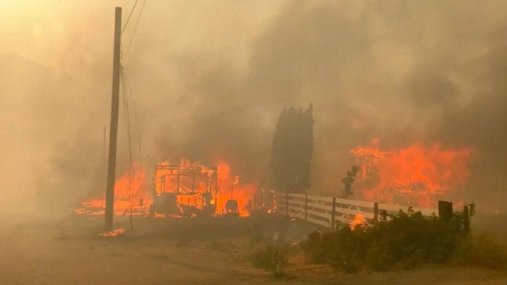 Wildfire in Lytton, B.C. a 'wake-up call' to take precautions: safety board