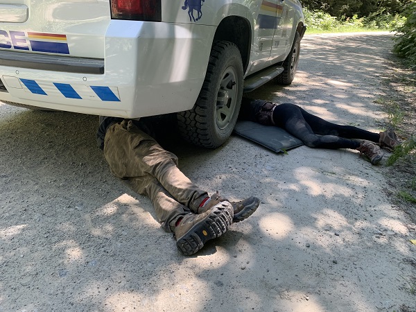 RCMP make nine arrests at old growth logging blockades on Vancouver Island