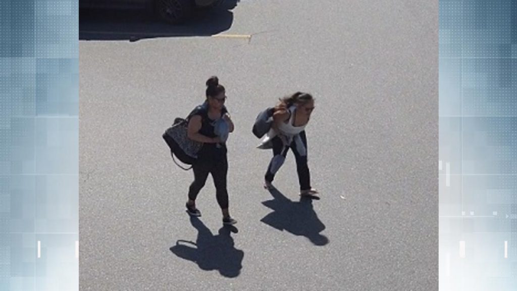 Nanaimo RCMP looking to identify two suspects following parking lot camera theft