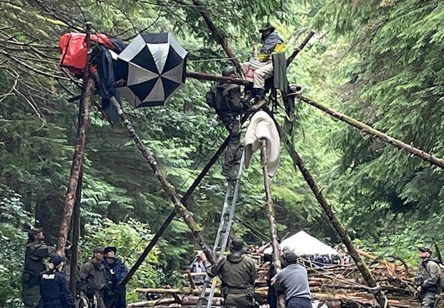 Minor among 13 arrested at blockade protesting old growth logging on Vancouver Island