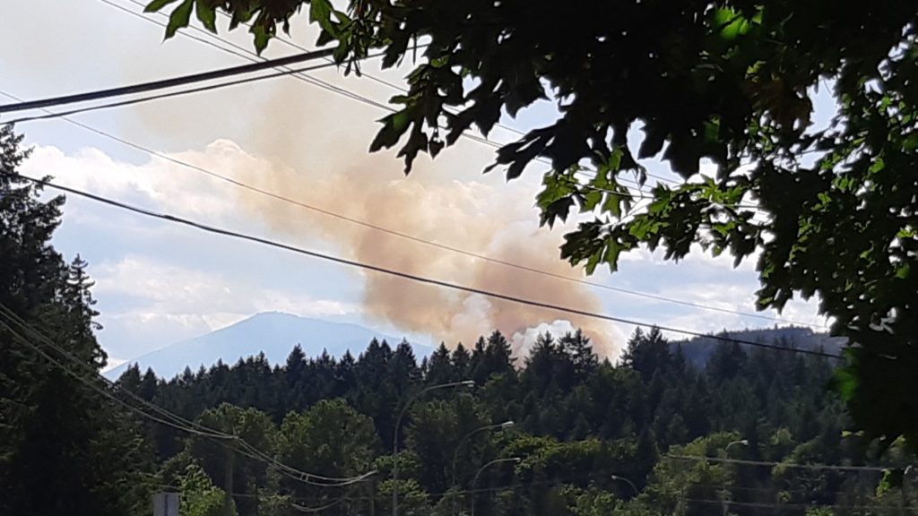 Wildfire sparks near Ladysmith, considered 'out of control' amid dry conditions