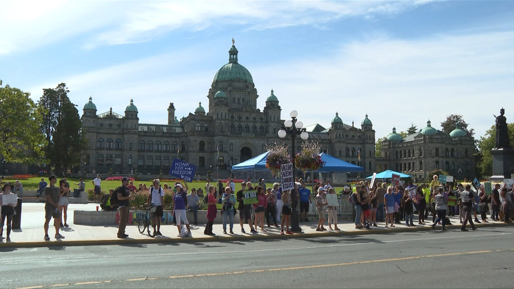 Man arrested for assault with 'hot liquid' at Victoria anti-vaccine card protest: police