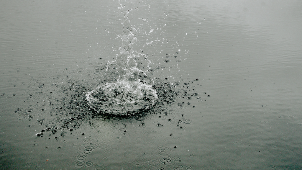 Up to 150 millimetres of rain expected over next two days for parts of Vancouver Island