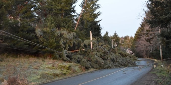 Thousands without power on Vancouver Island, Gulf Islands following overnight windstorm